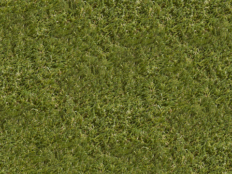 真实质感草地草坡绿地肌理纹理177