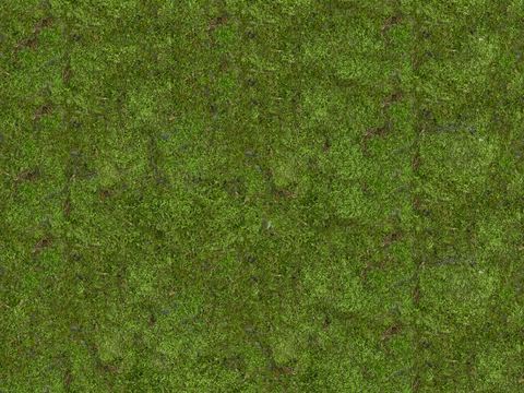 真实质感草地草坡绿地肌理纹理54