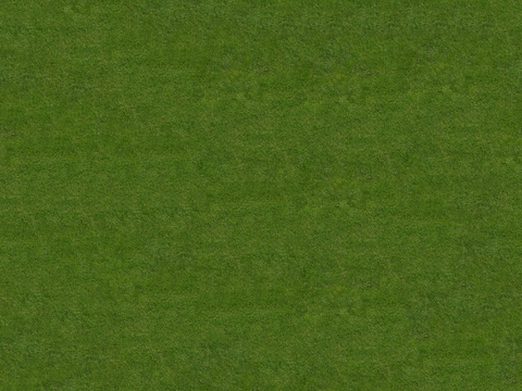  真实质感草地草坡绿地肌理纹理15 