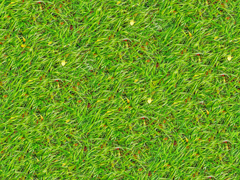  真实质感草地草坡绿地肌理纹理117 