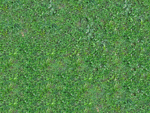 真实质感草地草坡绿地肌理纹理176