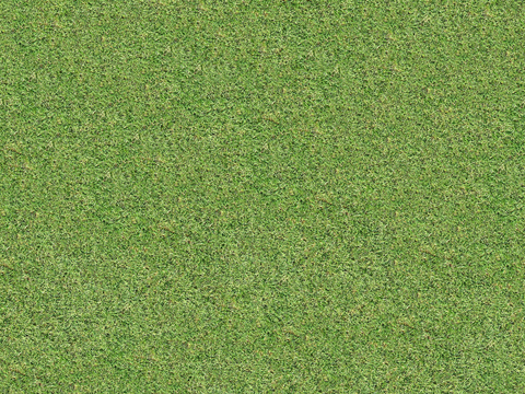 真实质感草地草坡绿地肌理纹理39