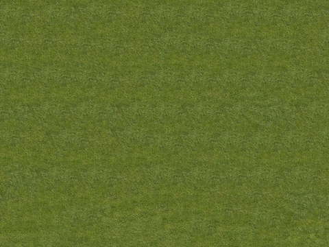  真实质感草地草坡绿地肌理纹理80 