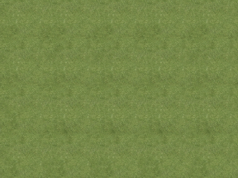 真实质感草地草坡绿地肌理纹理14