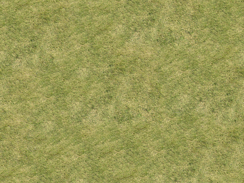 真实质感草地草坡绿地肌理纹理17