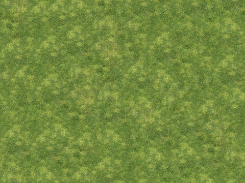  真实质感草地草坡绿地肌理纹理70 