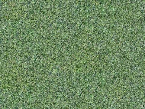  真实质感草地草坡绿地肌理纹理175 
