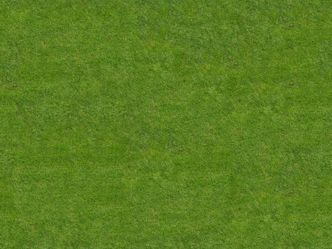 真实质感草地草坡绿地肌理纹理56