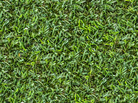 真实质感草地草坡绿地肌理纹理114