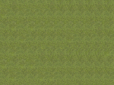 真实质感草地草坡绿地肌理纹理87