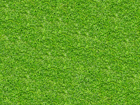 真实质感草地草坡绿地肌理纹理115