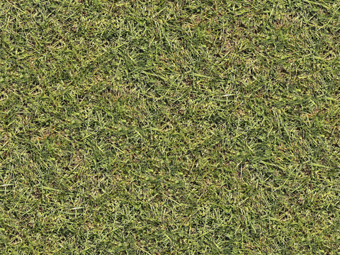  真实质感草地草坡绿地肌理纹理178 