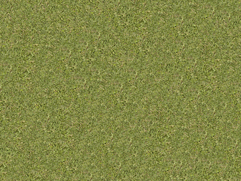  真实质感草地草坡绿地肌理纹理141 