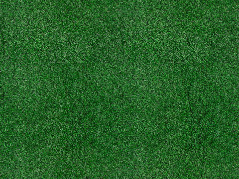 真实质感草地草坡绿地肌理纹理29