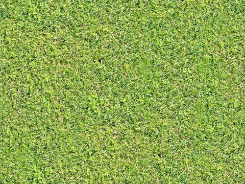 真实质感草地草坡绿地肌理纹理58