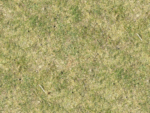 真实质感草地草坡绿地肌理纹理60