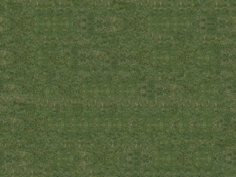 真实质感草地草坡绿地肌理纹理85