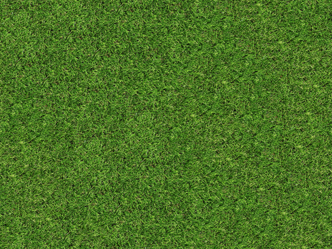 真实质感草地草坡绿地肌理纹理173