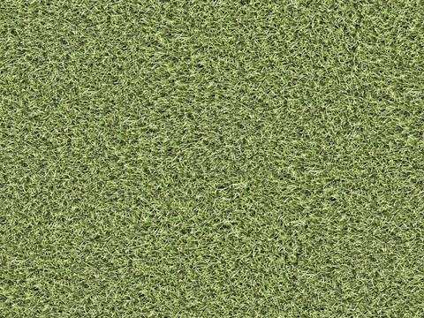 真实质感草地草坡绿地肌理纹理170