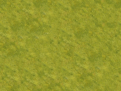 真实质感草地草坡绿地肌理纹理185