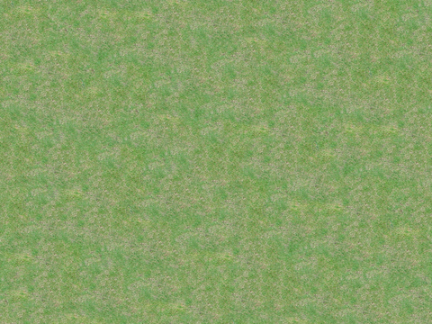 真实质感草地草坡绿地肌理纹理120