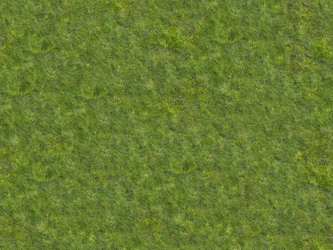 真实质感草地草坡绿地肌理纹理184