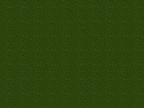 真实质感草地草坡绿地肌理纹理134