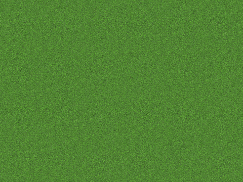  真实质感草地草坡绿地肌理纹理100 