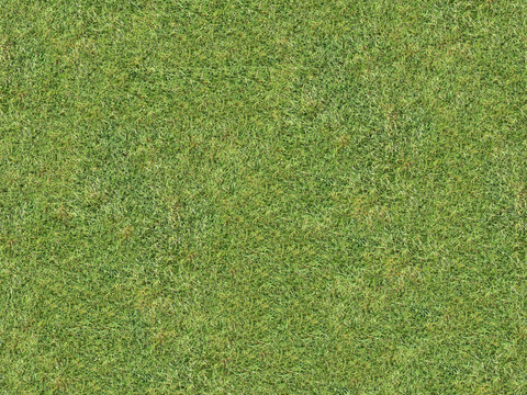 真实质感草地草坡绿地肌理纹理42