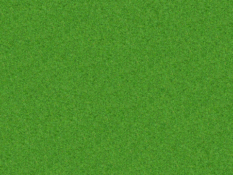 真实质感草地草坡绿地肌理纹理27