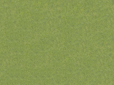 真实质感草地草坡绿地肌理纹理88