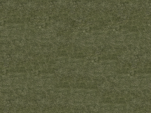  真实质感草地草坡绿地肌理纹理119 