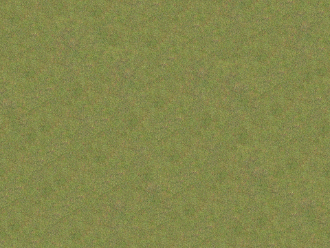  真实质感草地草坡绿地肌理纹理93 