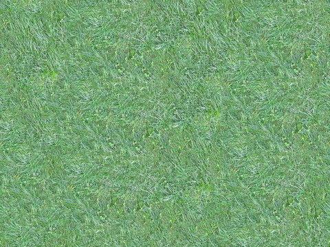 真实质感草地草坡绿地肌理纹理160