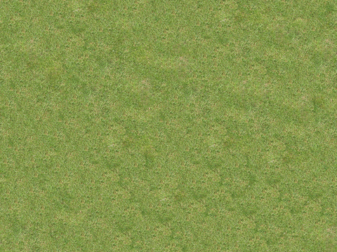 真实质感草地草坡绿地肌理纹理129