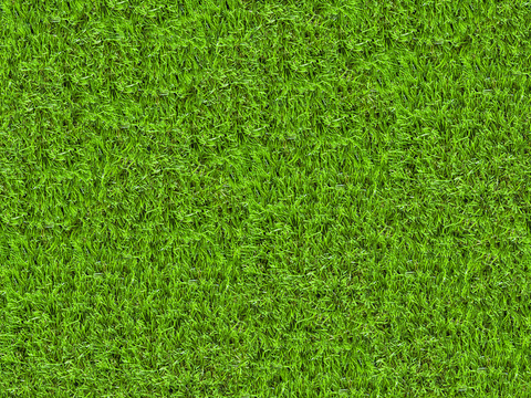  真实质感草地草坡绿地肌理纹理167 