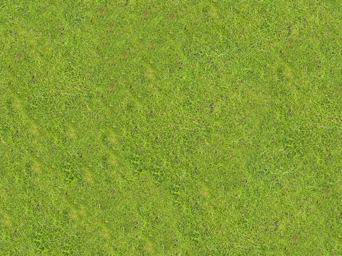 真实质感草地草坡绿地肌理纹理196