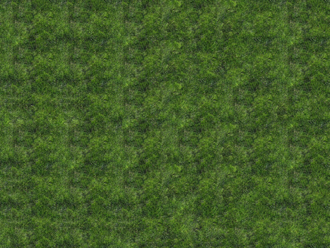 真实质感草地草坡绿地肌理纹理67