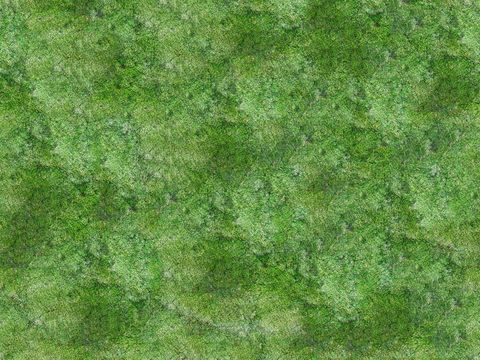 水彩风草地绿地草坡肌理纹理36