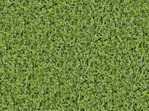 真实质感草地草坡绿地肌理纹理43