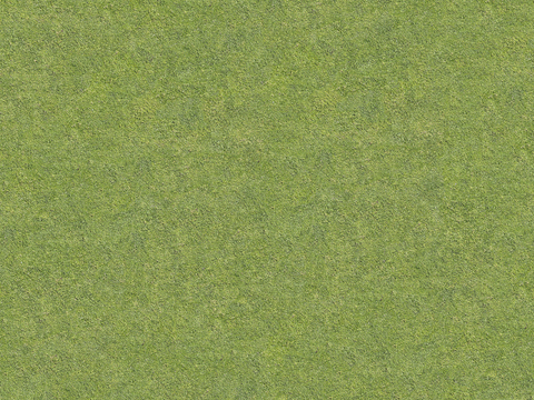  真实质感草地草坡绿地肌理纹理1 