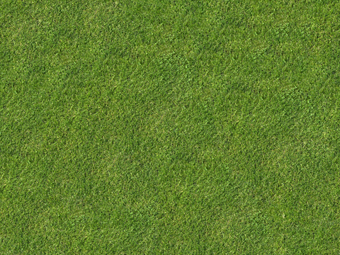 真实质感草地草坡绿地肌理纹理40