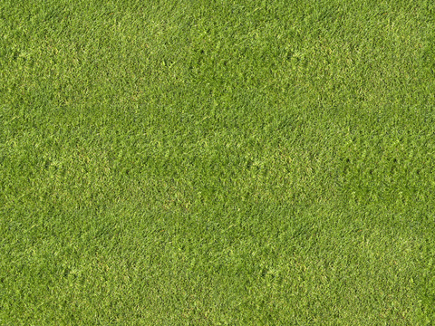 真实质感草地草坡绿地肌理纹理18