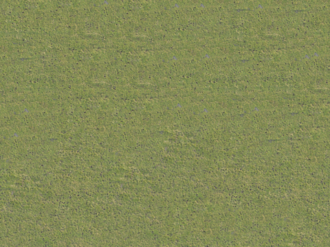  真实质感草地草坡绿地肌理纹理194 