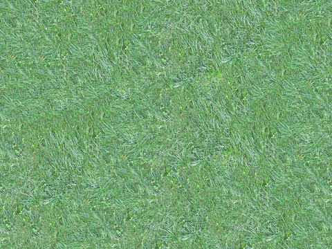 真实质感草地草坡绿地肌理纹理95