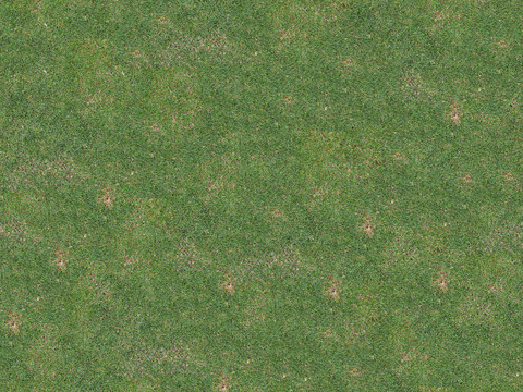 真实质感草地草坡绿地肌理纹理118