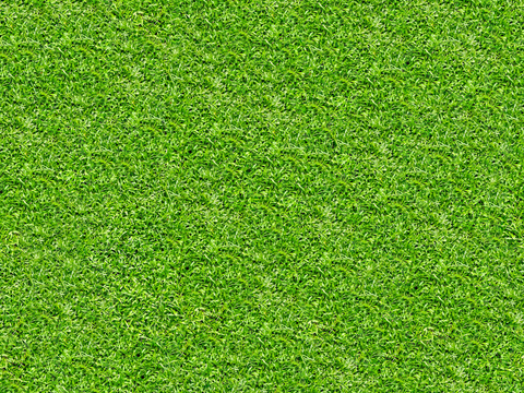 真实质感草地草坡绿地肌理纹理21