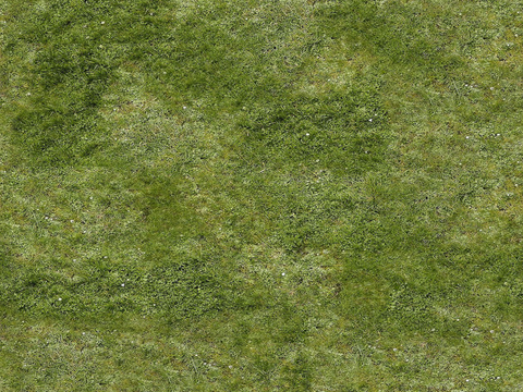  真实质感草地草坡绿地肌理纹理12 