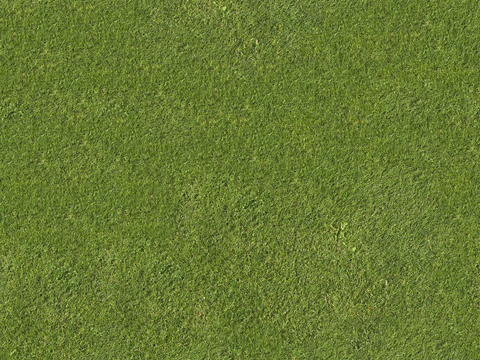 真实质感草地草坡绿地肌理纹理81