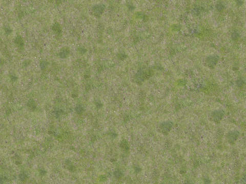 真实质感草地草坡绿地肌理纹理193